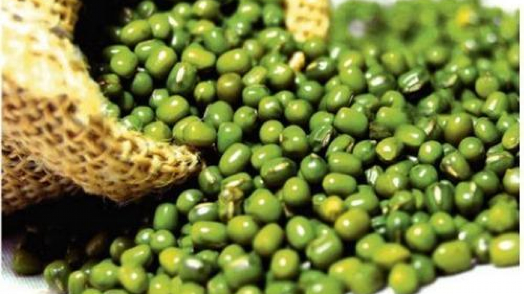 green-gram-mung-dal-mung-beans-500x500