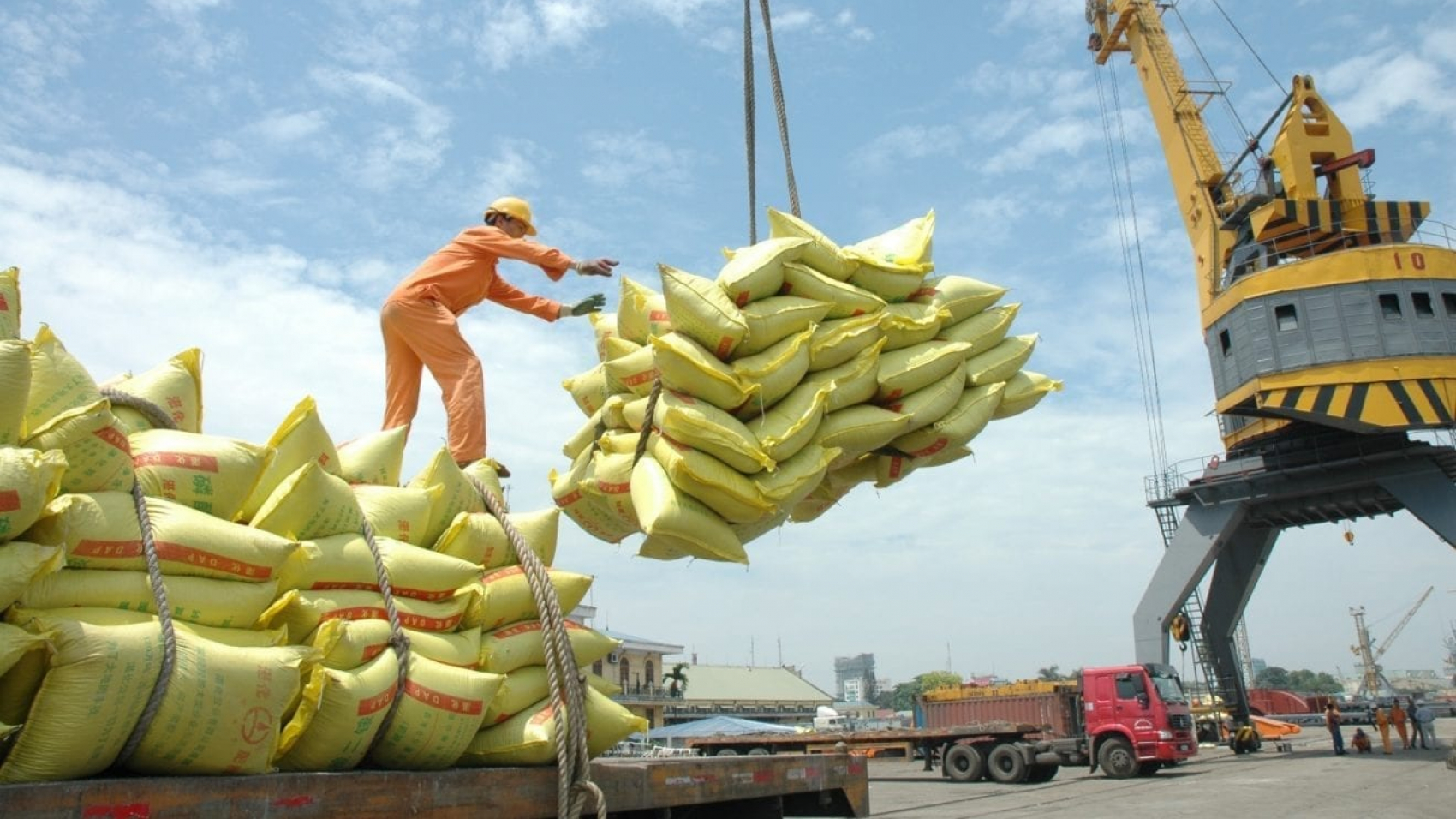 rice-export-vietnam