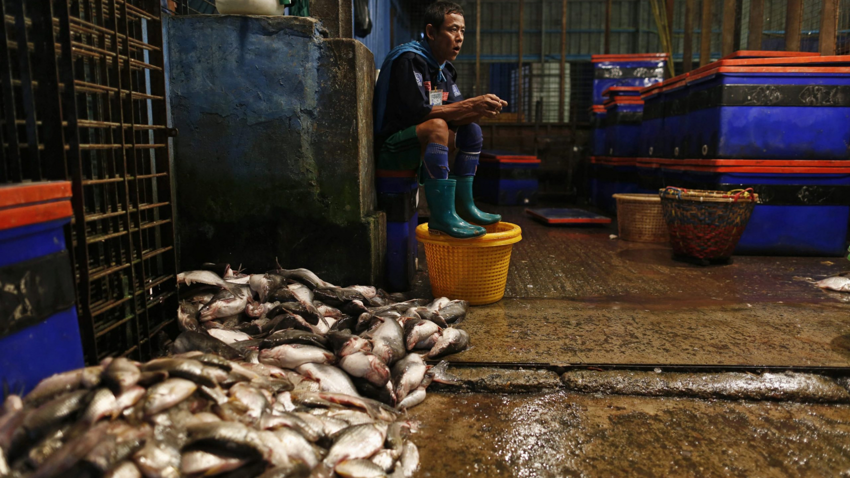 Myanmar-marine-fish-export